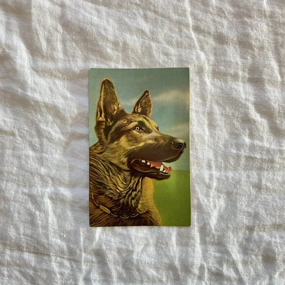 Alfred Mainzer German Shepherd Dog Squeaking Postcard - Picture 7 of 9
